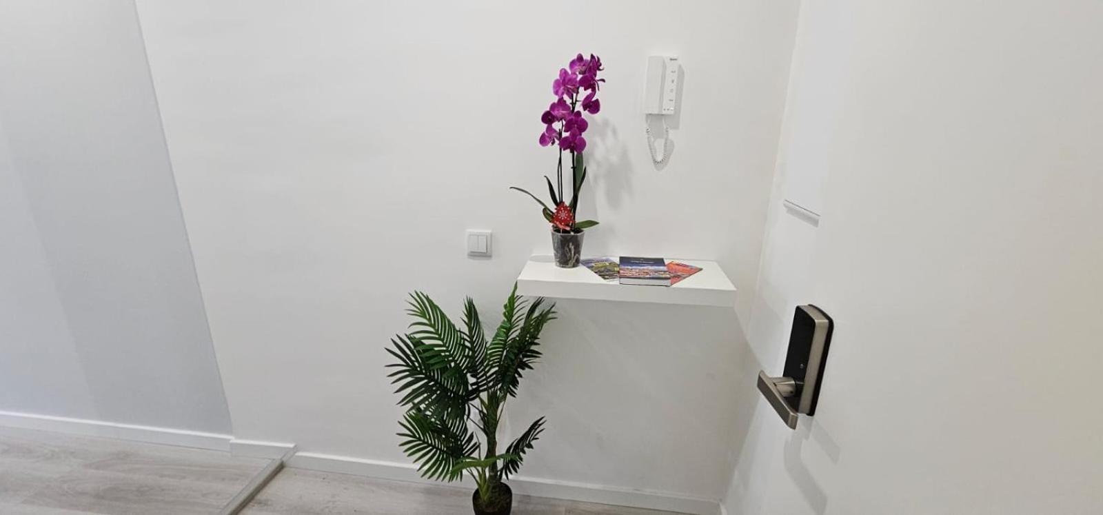 Time Off Madeira Apartment Funchal  Ngoại thất bức ảnh